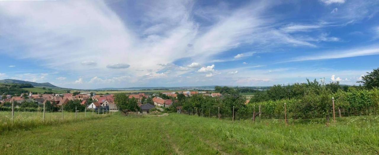 Prazdninovy Dum Na Palave S Vinnym Sklepem Milovice  Exterior photo